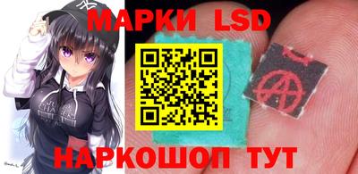 стафф Заволжье