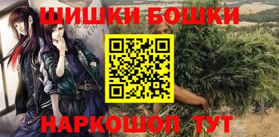 стафф Заволжье