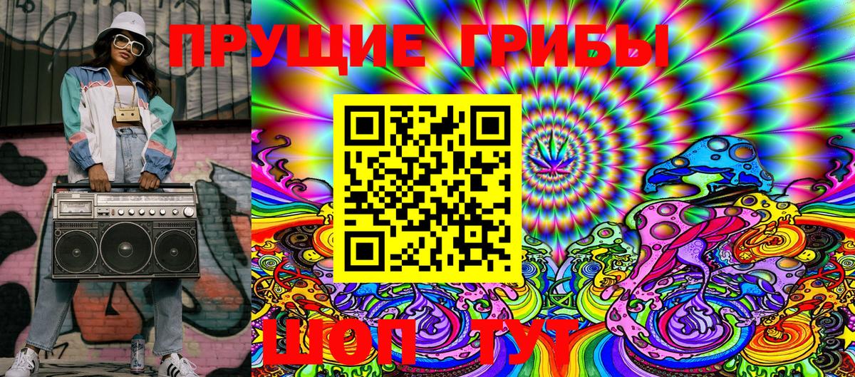 Псилоцибиновые грибы Psilocybe Людиново